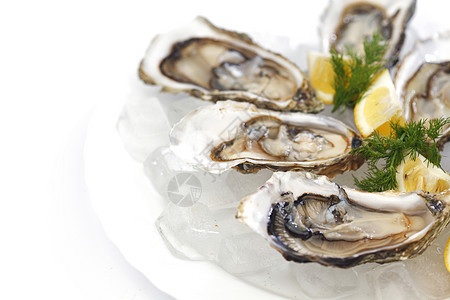 含柠檬和的牡蛎壳类食物草本植物熟食贝类午餐美食盘子餐厅奢华图片