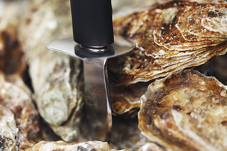 牡蛎和刀宏观贝类餐厅食物熟食饮食营养托盘海鲜壳类图片
