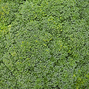 花椰菜蔬菜矿物质维生素植物蓝绿绿色图片