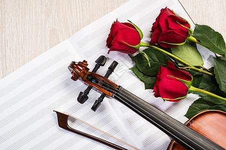 Violin 玫瑰和音乐书籍花朵木头小提琴仪式乐队细绳歌曲风格笔记手臂图片