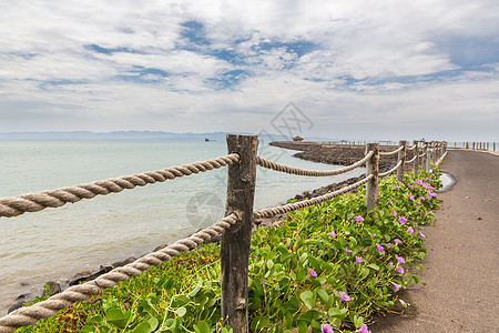 红海海岸绳索植物天空树叶栅栏图片