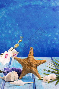 柳兰花带青柳花和白兰花的海贝壳花束展示海星棕榈花瓣植物群季节桌子植物兰花背景