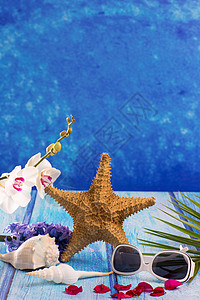 柳兰花带青柳花和白兰花的海贝壳贝壳植物紫色季节棕榈太阳镜花束植物学植物群生日背景