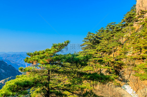 黄山和树文化风景红色历史晴天蓝色网站石头斑点旅游图片