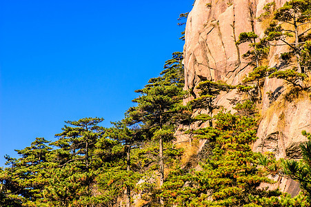 黄山和树岩石树木斑点网站太阳蓝色文化石头历史日落图片