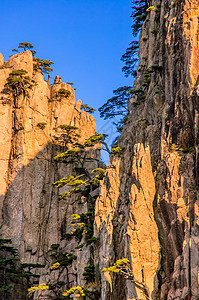 黄山和树历史红色日落旅游太阳斑点晴天网站风景石头图片