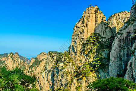 黄山和树旅游风景历史红色斑点文化岩石石头日落网站图片