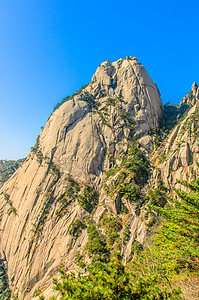 黄山和树日落旅游斑点石头太阳红色历史文化晴天岩石图片