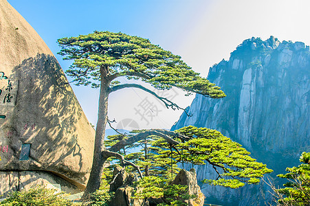 黄山和树文化日落风景历史太阳晴天旅游蓝色石头树木图片