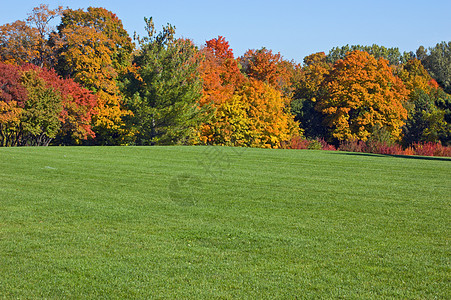 秋瀑黄色红色公园蓝色阳光照射绿色树叶天空图片