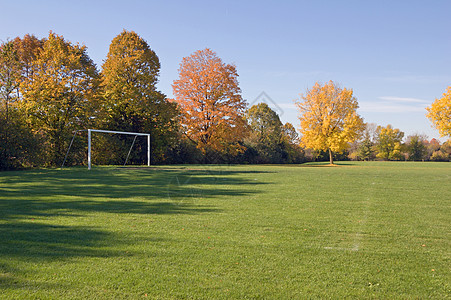 秋瀑天空阳光照射足球红色蓝色树叶黄色绿色公园背景图片