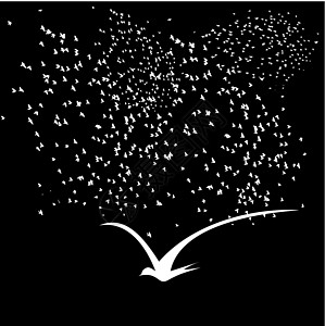 黑人背景鸟类生命矢量艺术家禽天堂季节绘画迁移翅膀植绒剪影森林航班图片