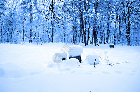 森林中的冬季雪暴日落木头松树雪堆云杉植物阳光阴影粉末场景图片