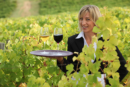 在葡萄园里用葡萄酒微笑女服务员图片