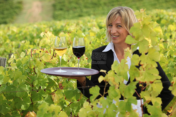 在葡萄园里用葡萄酒微笑女服务员图片