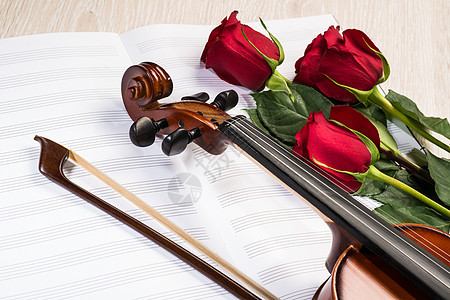 Violin 玫瑰和音乐书籍木头花朵仪式艺术笔记周年风格古董乐队歌曲图片