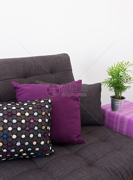 沙发加多彩的垫子和绿色的植物图片