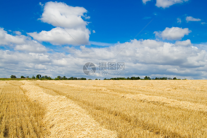 风向场地外表稻草堆垛班级大片农作物自然资源地球收获图片