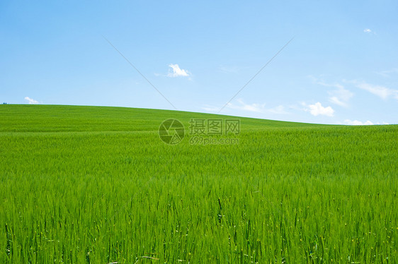 字段和天空爬坡土地植被国家远景季节天气植物晴天草地图片