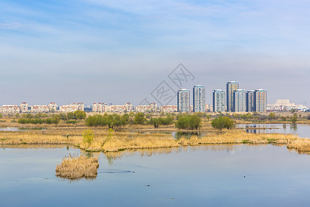 具有水生生态系统的城市景观图片