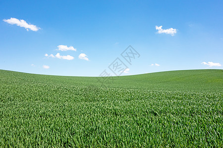 字段和天空蓝色环境植物群农场生长天气植被爬坡场地土地图片