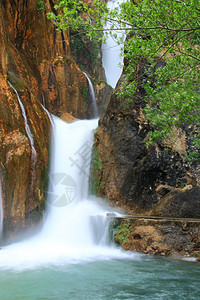 瀑布落到河中溪流风景叶子绿色热带假期丛林旅行荒野环境图片