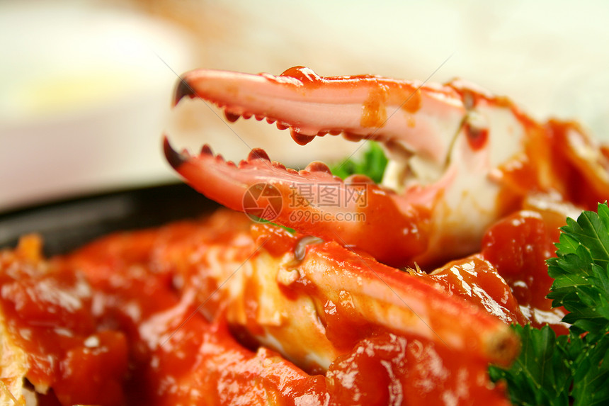 番茄酱中的螃蟹香菜动物甲壳海鲜裂蟹用餐钳子午餐美食草药图片