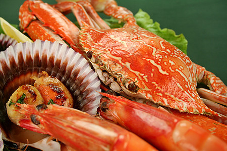 海食盘扇贝草药贝类贝壳动物香菜美食味道烹饪用餐图片