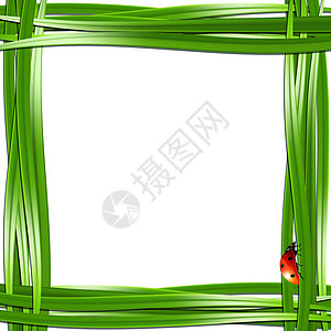 草布和小虫生长季节性绿色红色植物季节墙纸白色生活卡通片图片