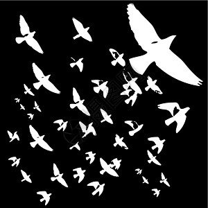 黑人背景鸟类生命矢量艺术森林迁移打印团体编队插图翅膀动物季节航班图片