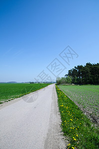 农村地貌道路场地天空阳光车道草地蓝色美丽国家花朵晴天图片