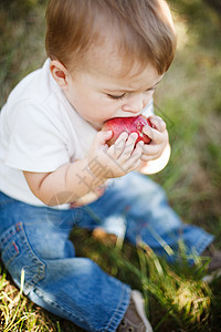 男孩宝宝吃苹果孩子食物婴儿童年苹果树收成男生水果果园男性图片