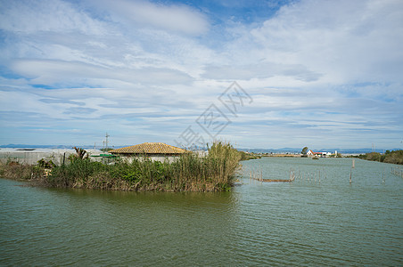 阿尔布费拉风景水平沼泽芦苇自然保护区自然公园沼泽地湿地图片