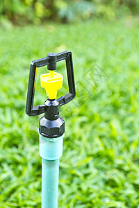 特写泉水器绿色射线光线花园喷出图片