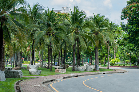 泰国Bangkok市公园图片
