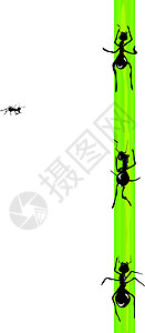 蚂蚁 矢量动物天线白色卡片漏洞生态邮政蝴蝶昆虫踪迹图片
