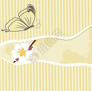 带蝴蝶的花香卡夹子漩涡滚动棕褐色藤蔓插图绘画文化曲线植物图片