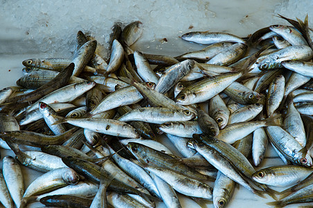 市场上的新鲜鱼美味营养盘子荒野街道海洋杂货店饮食海鲜食物图片