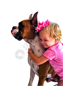 爱我的狗狗动物儿童婴儿幸福宠物童年拥抱伴侣拳击手小狗图片