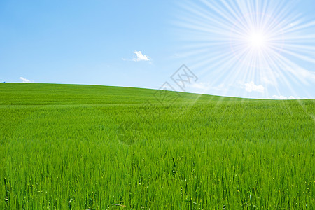 字段和天空牧场天气爬坡季节场地农村植物植被环境地平线图片