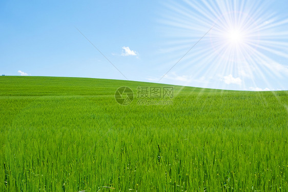 字段和天空牧场天气爬坡季节场地农村植物植被环境地平线图片