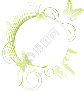 蝴蝶框架装饰边界昆虫圆圈风格圆形横幅插图绿色背景图片