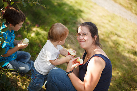 果园里的家庭母亲帮助婴儿收成女士童年场地男性儿子食物图片