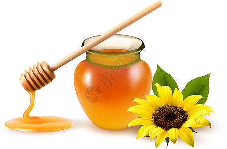 蜂蜜罐和黄花的冰棒 矢量插图图片