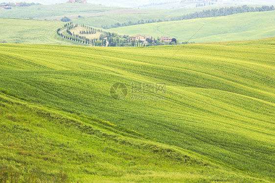 春季的绿色典型土瓜风景场景草地阴影爬坡草原日落场地全景农田农村图片