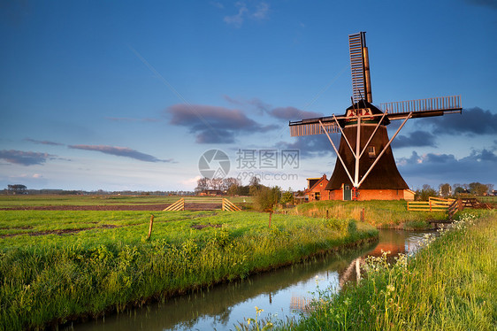 早晨日出阳光下的荷兰风车图片