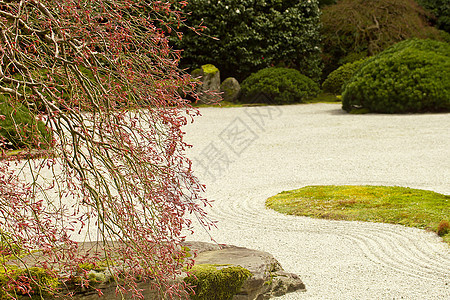 石头园寺庙花园石头植物群佛教徒植物岩石樱花苔藓艺术图片