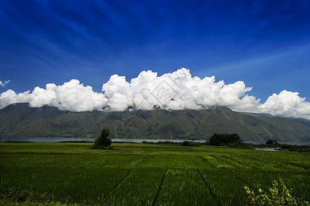 萨莫西尔岛的乡村景观图片