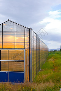 温室地热收获植物水果地球湿度房子产品花园天空建筑图片