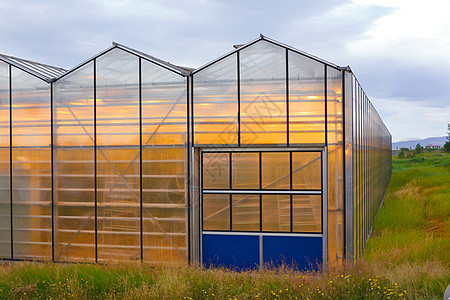 温室地热收获植物天空房子水果建筑学生长湿度农业植被图片